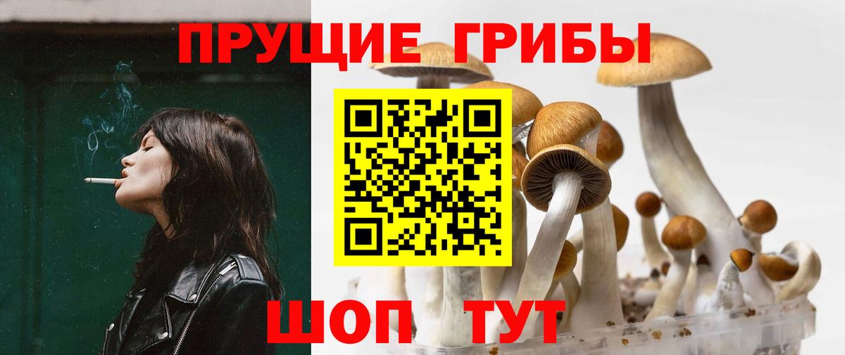 Псилоцибиновые грибы Psilocybe  Вход с VPN  Новокубанск 